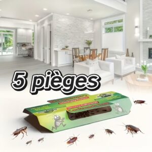 piège cafard